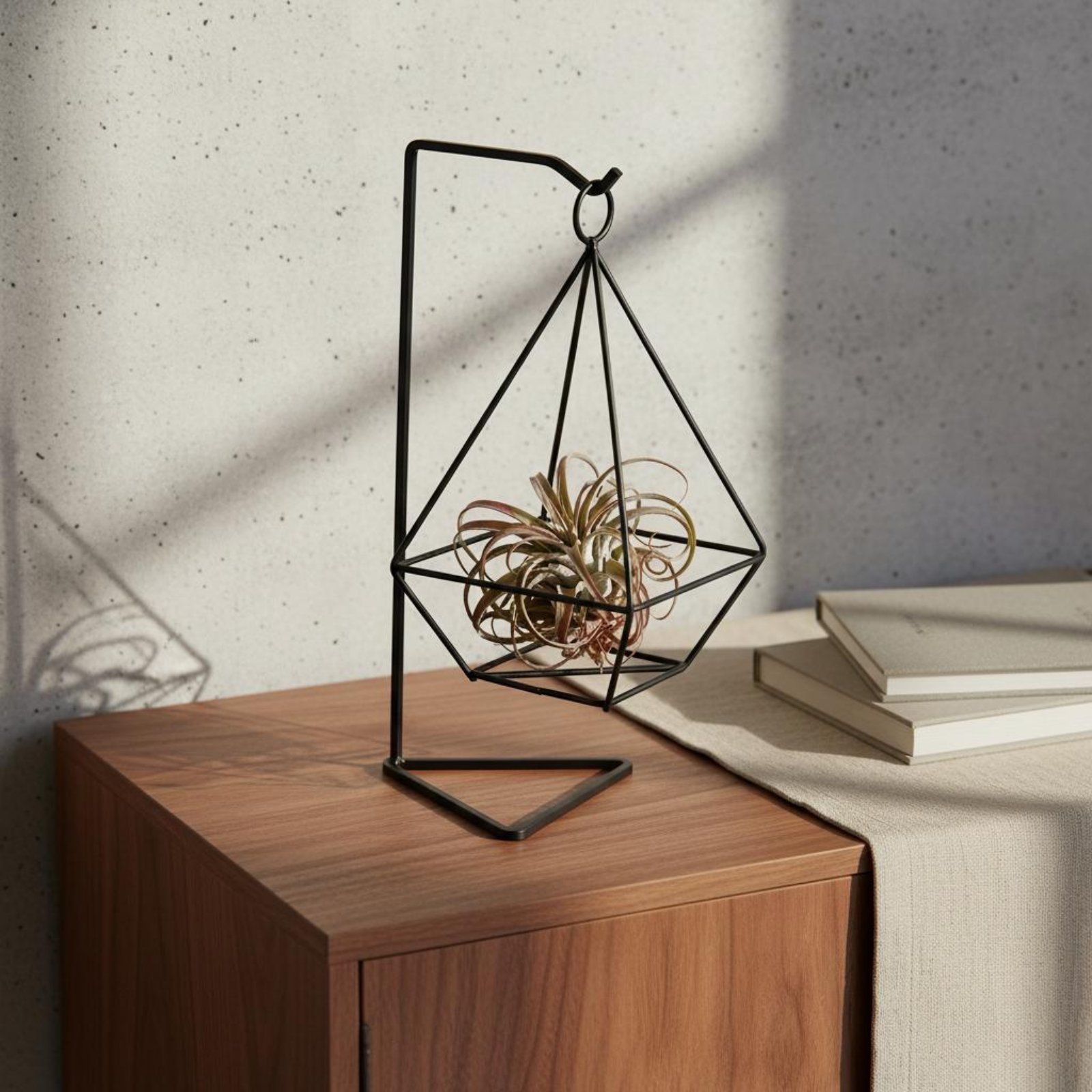 Air Plant Tillandsia - Supporto Geometrico per Piante Aeree, Design