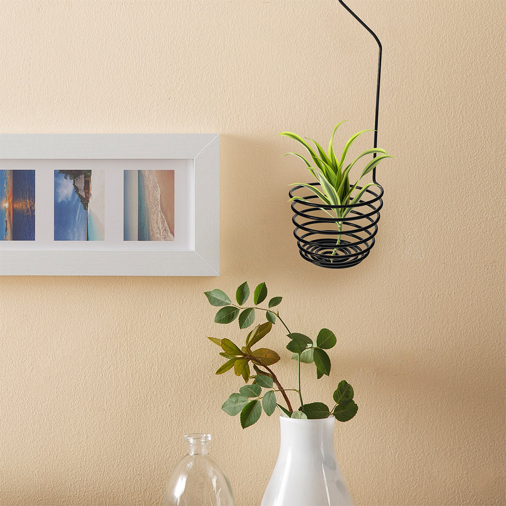Set di 3 Ganci a Spirale in Me - Air Plant Tillandsia recensione e prezzo