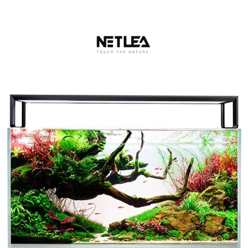 Netlea AT5S V3 Smart Wifi APP  - Plant Parent App recensione e prezzo