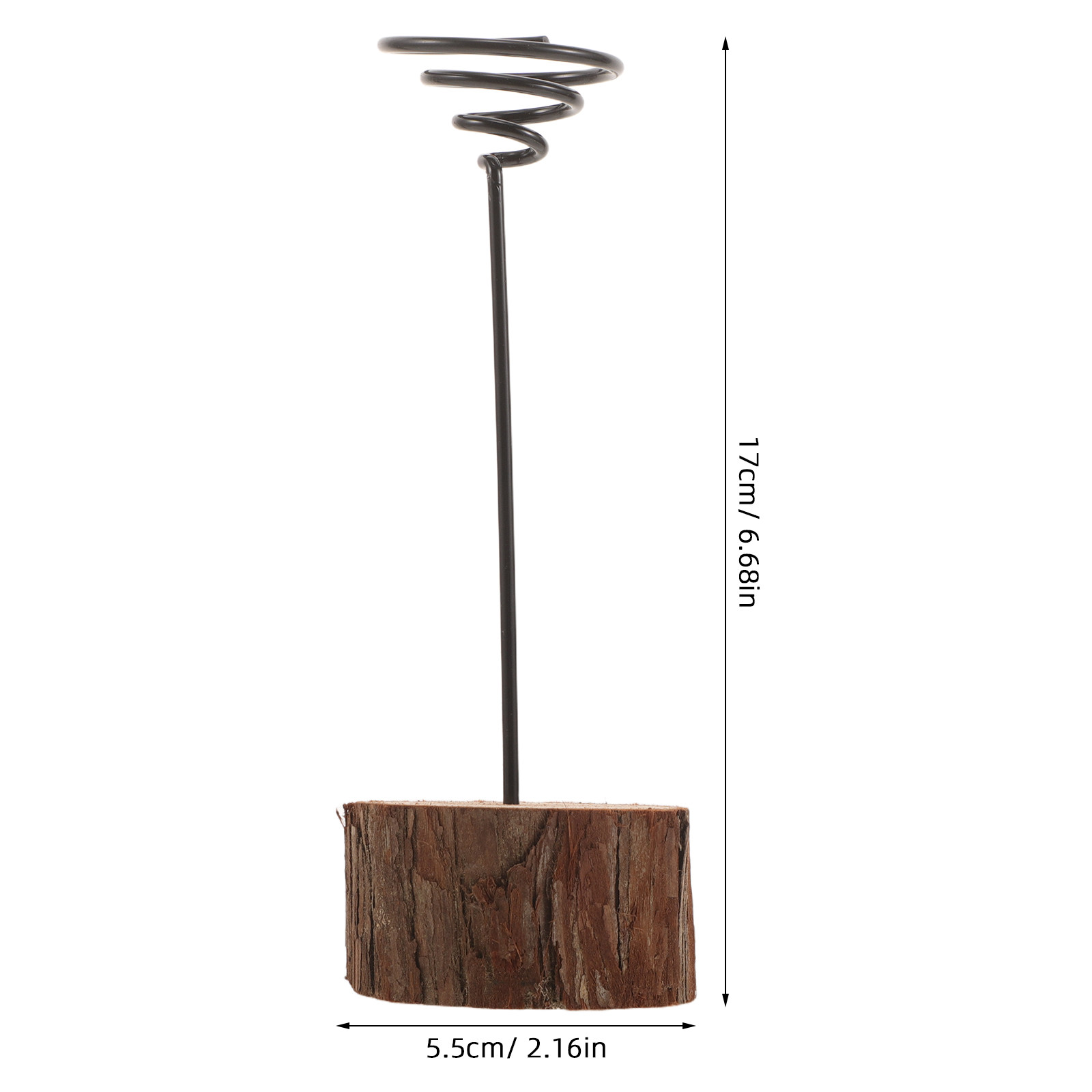 2 Pezzi Supporto per Piante Ae - Air Plant Tillandsia recensione e prezzo