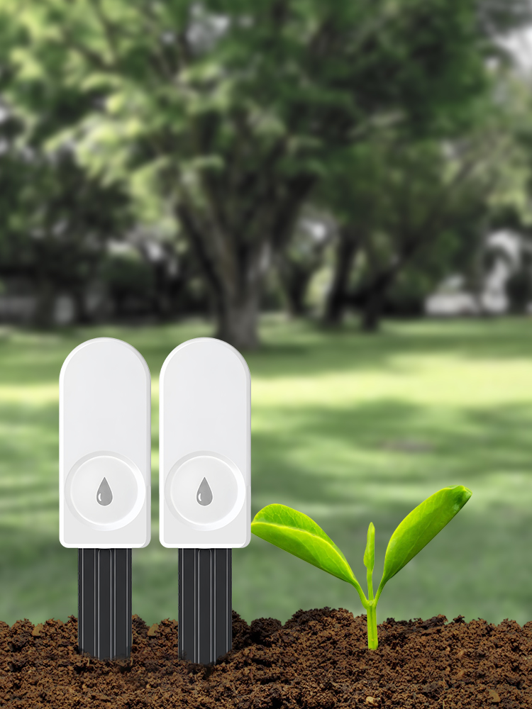 Sensore Intelligente ZigBee pe - Plant Parent App recensione e prezzo