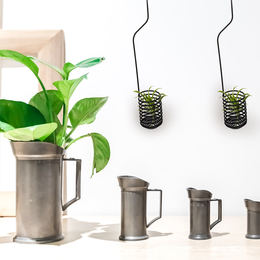 3 Pezzi Ganci a Spirale per Pi - Air Plant Tillandsia recensione e prezzo