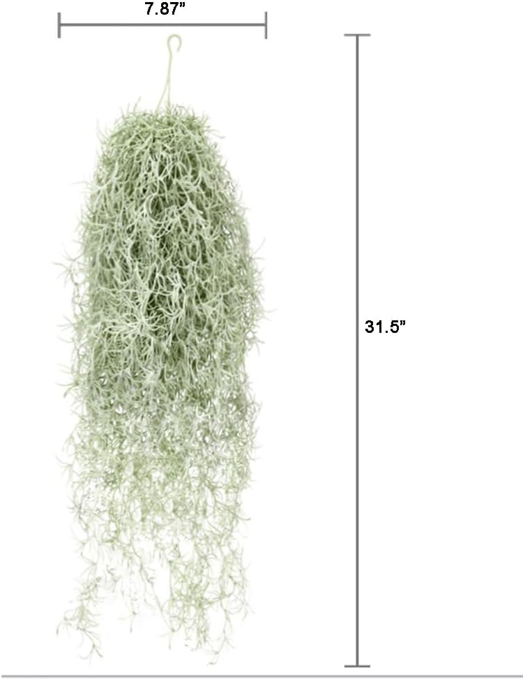 Piante ad aria artificiali flo - Air Plant Tillandsia recensione e prezzo
