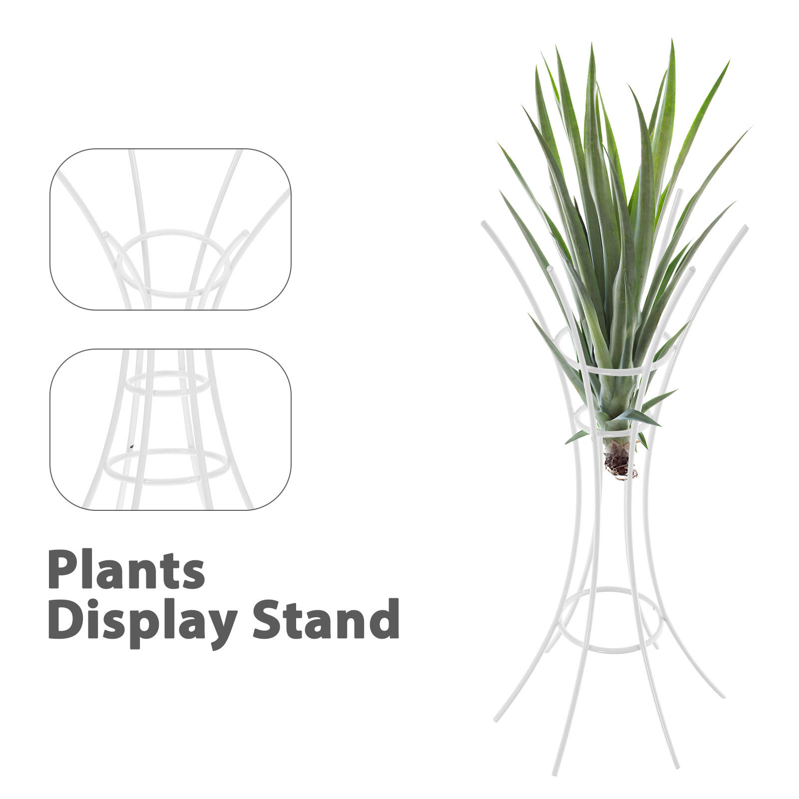 Supporto per Piante Aeree in M - Air Plant Tillandsia recensione e prezzo