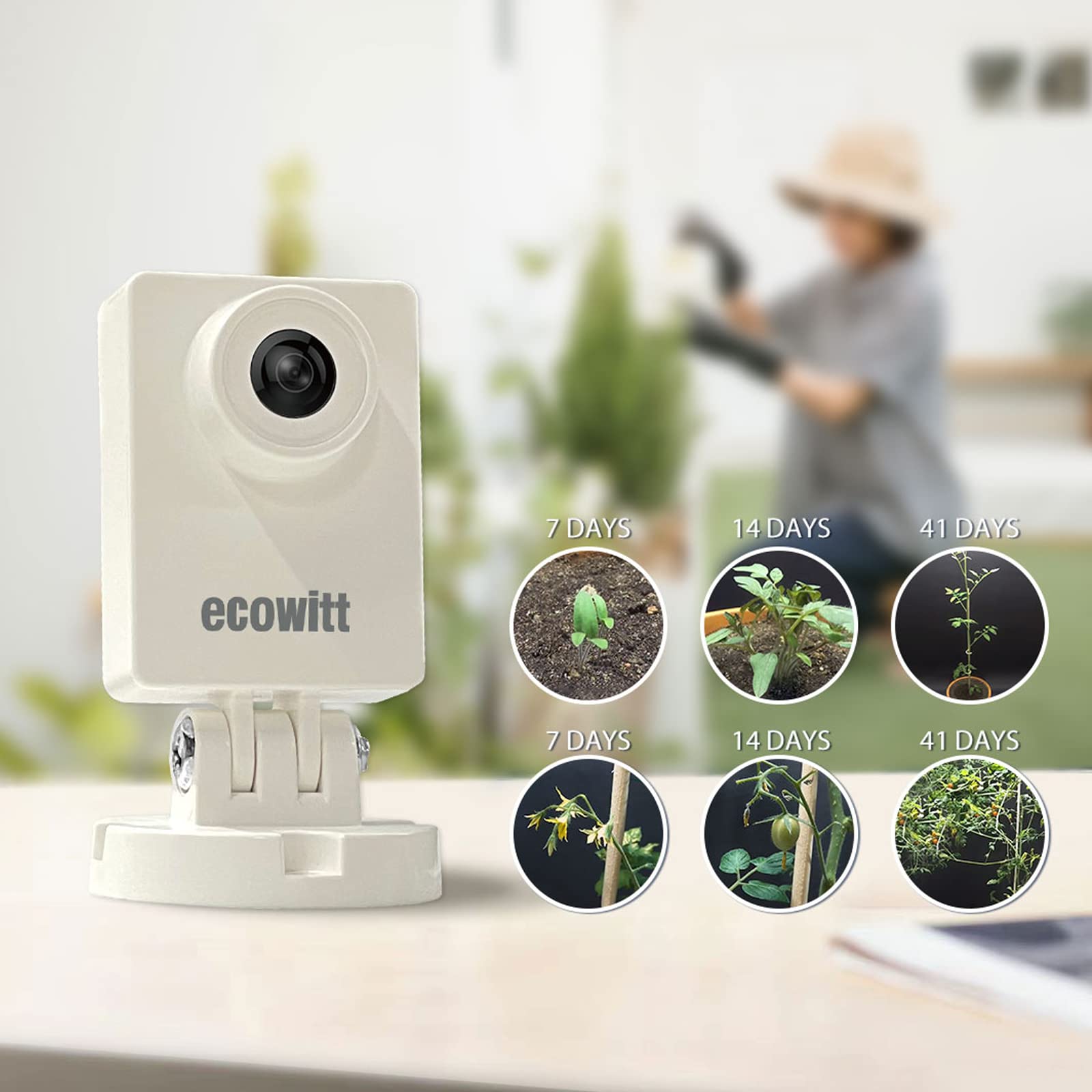 Ecowitt HP10 WittCam Outdoor W - Plant Parent App recensione e prezzo