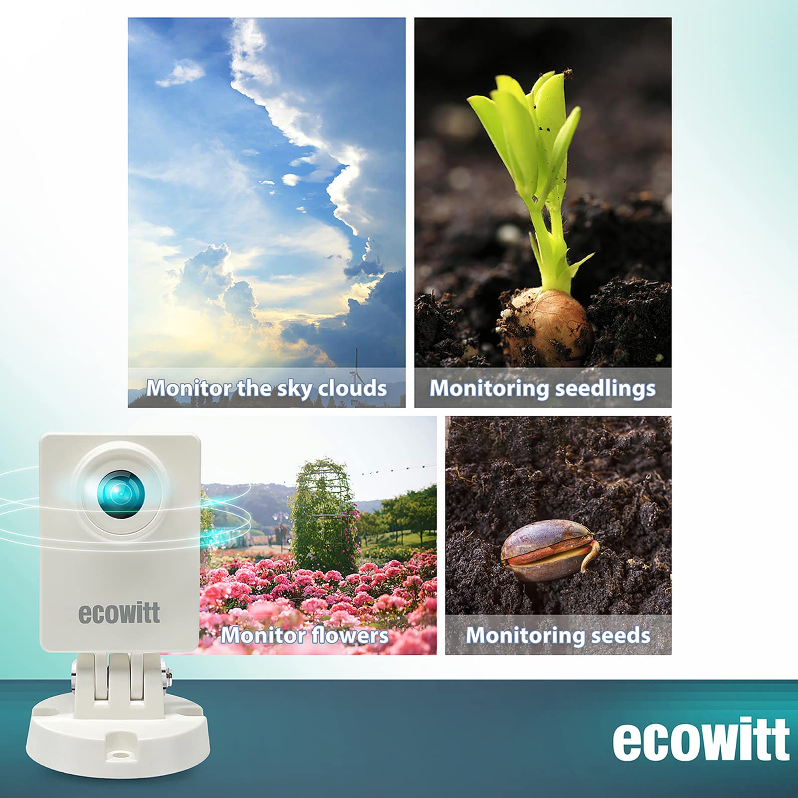 Ecowitt HP10 WittCam Outdoor W - Plant Parent App recensione e prezzo