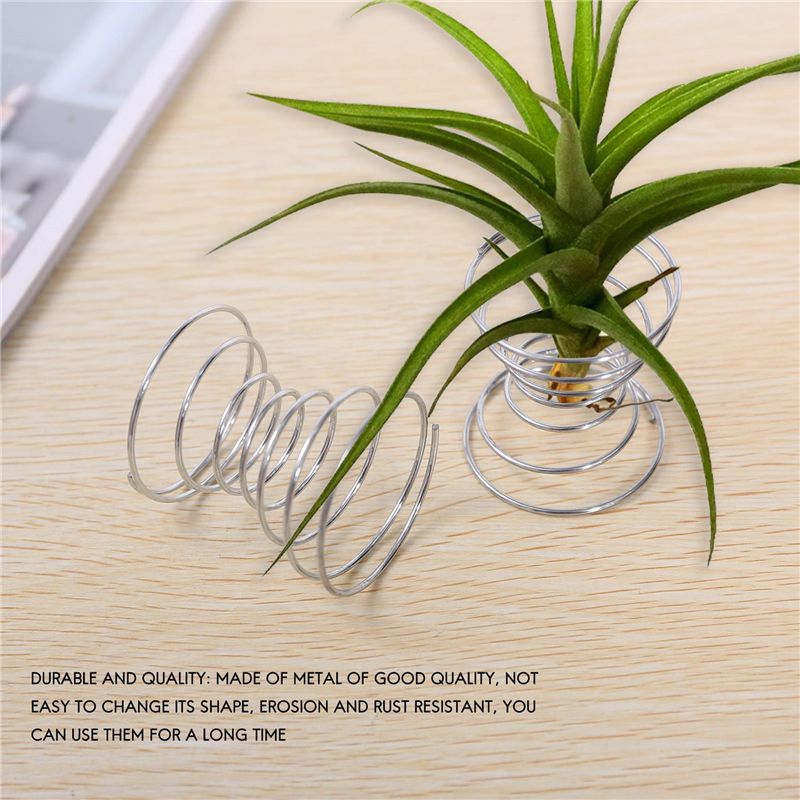 Set di 6 Supporti per Piante A - Air Plant Tillandsia recensione e prezzo