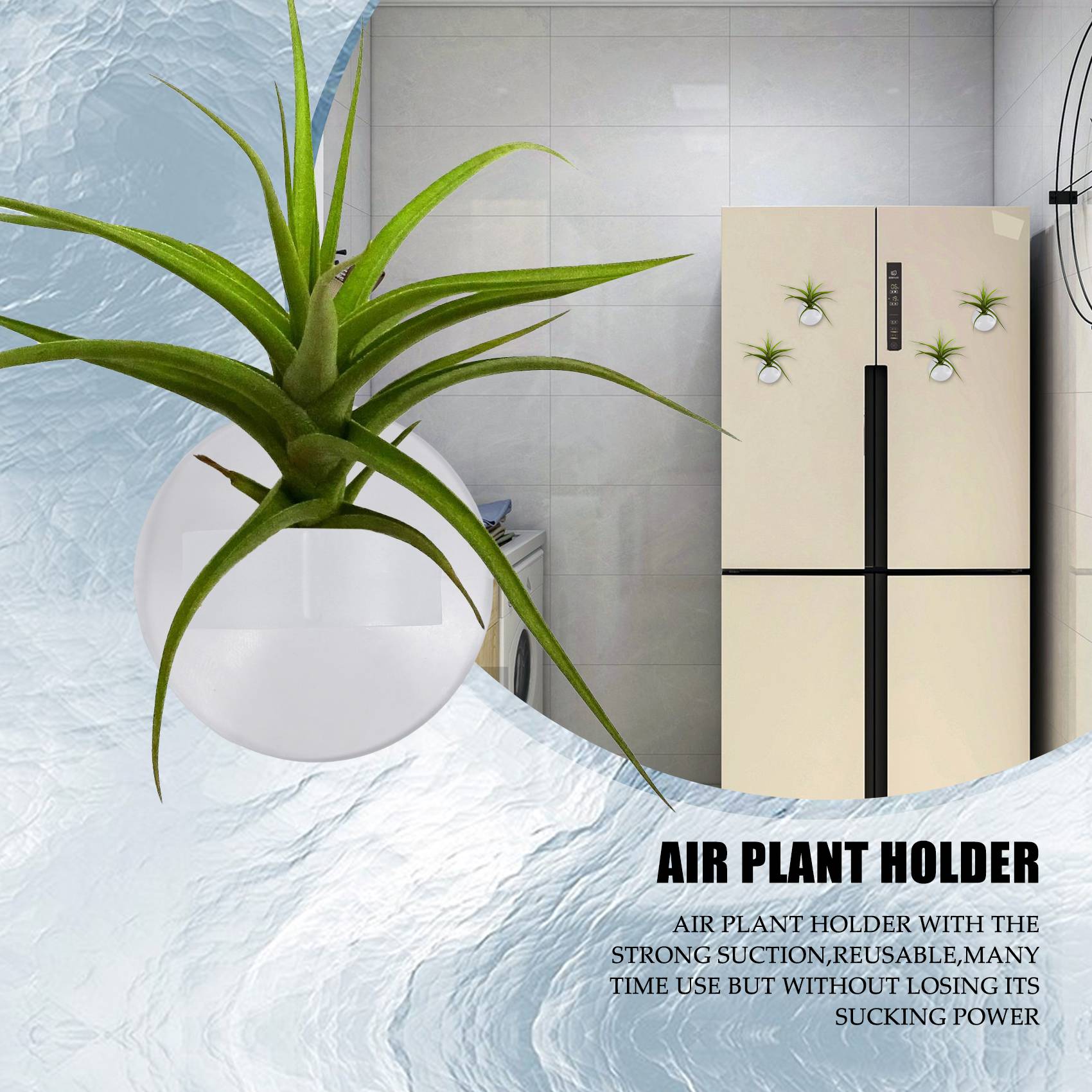 AC76-20 Pezzi Supporto per Pia - Air Plant Tillandsia recensione e prezzo