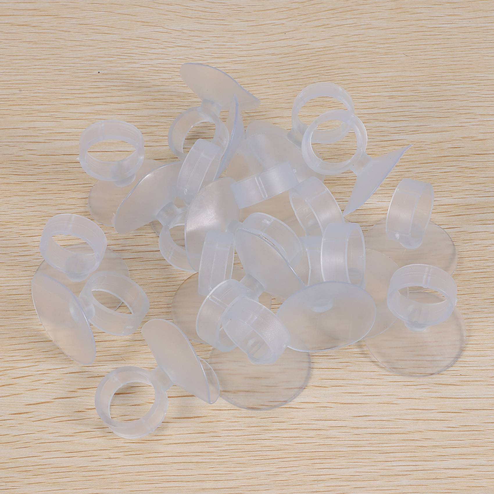 AC76-20 Pezzi Supporto per Pia - Air Plant Tillandsia recensione e prezzo