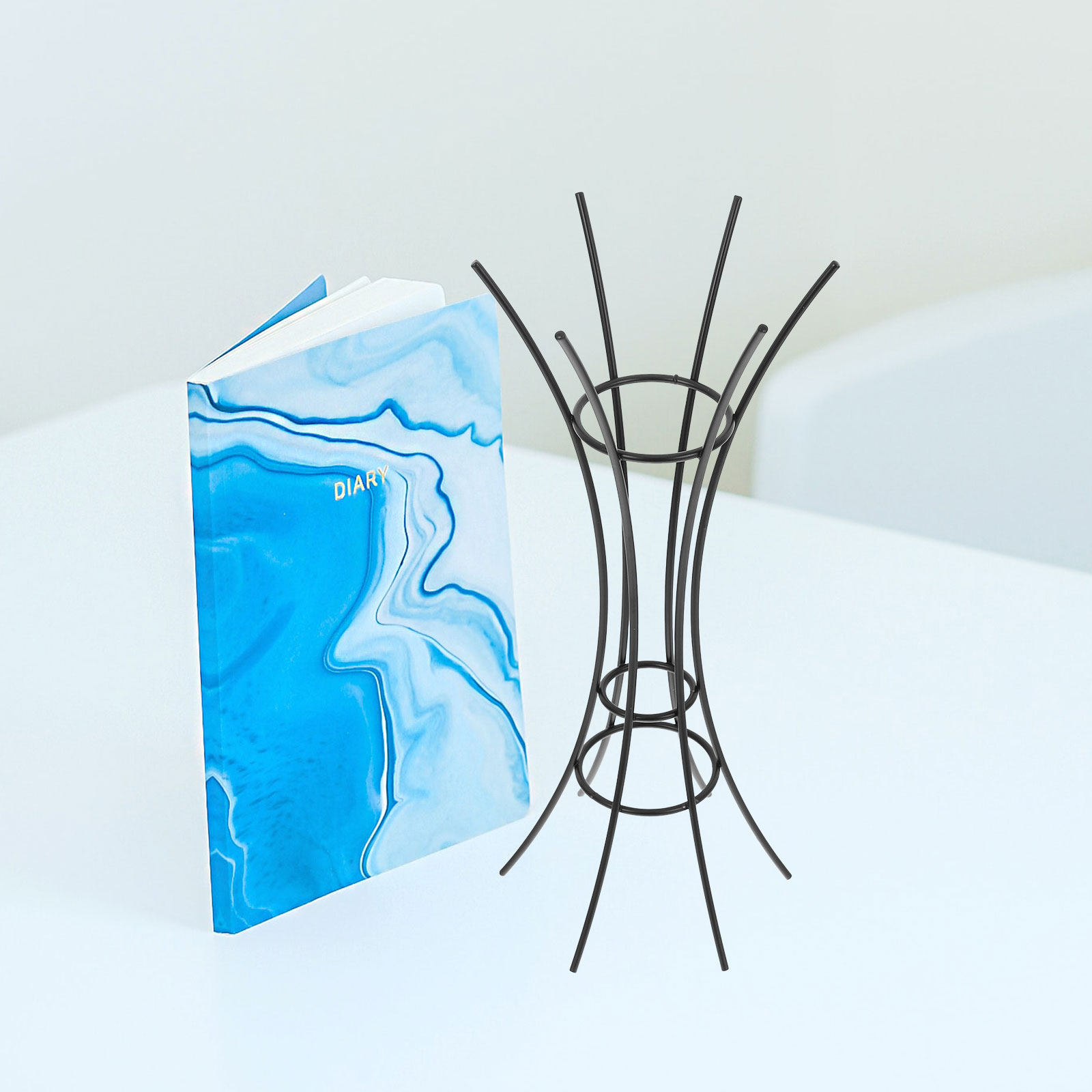 Espositore per Piante Aeree, E - Air Plant Tillandsia recensione e prezzo
