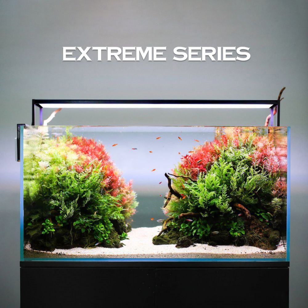 Luce per acquario a LED MICMOL - Plant Parent App recensione e prezzo
