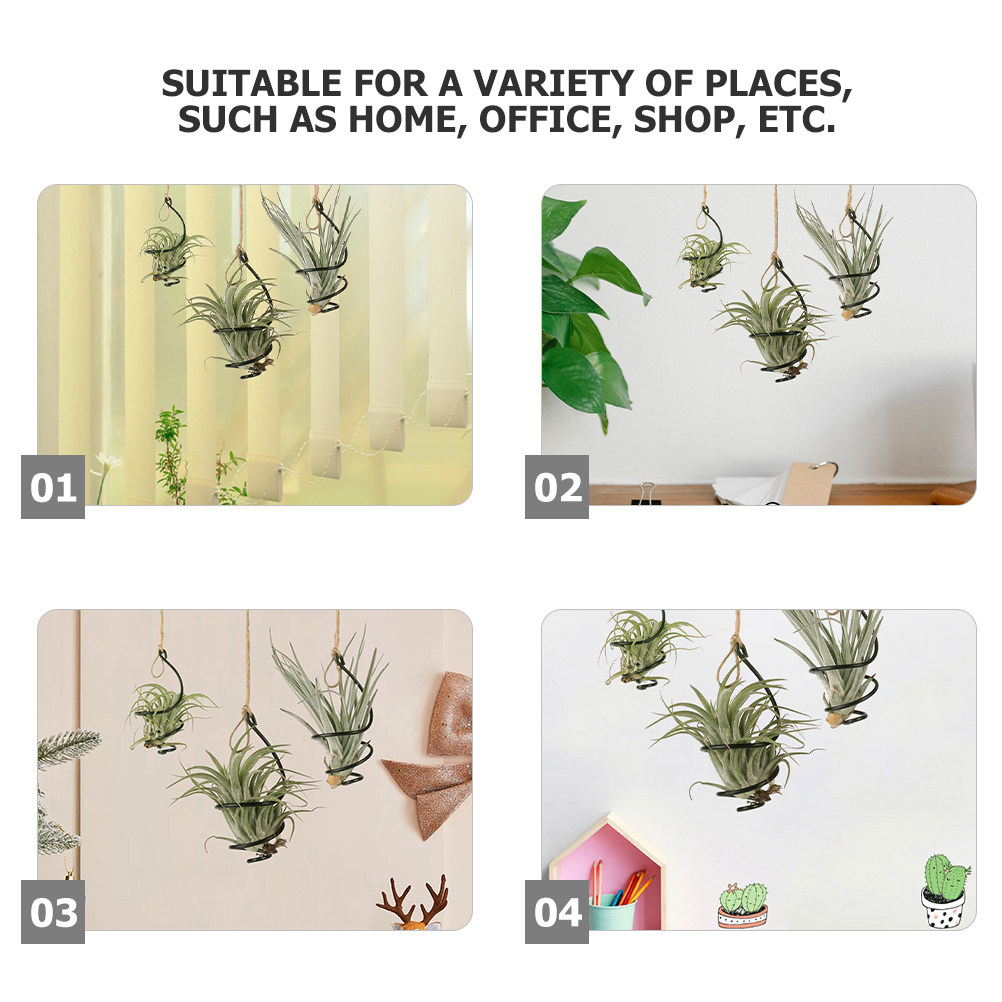18 Supporti Neri Piccoli per P - Air Plant Tillandsia recensione e prezzo