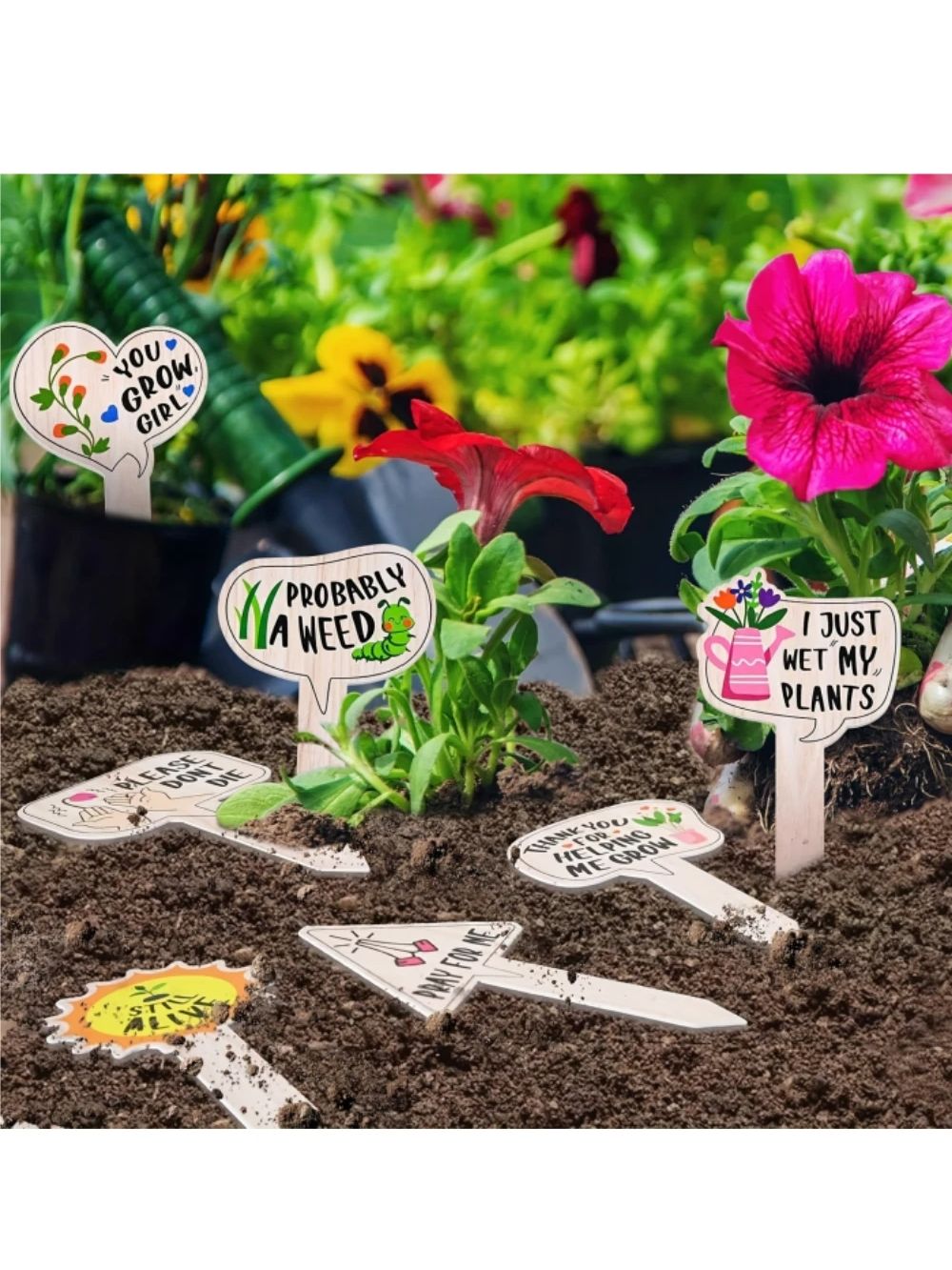 5/10 pezzi etichette per piant - Plant Parent Gifts recensione e prezzo