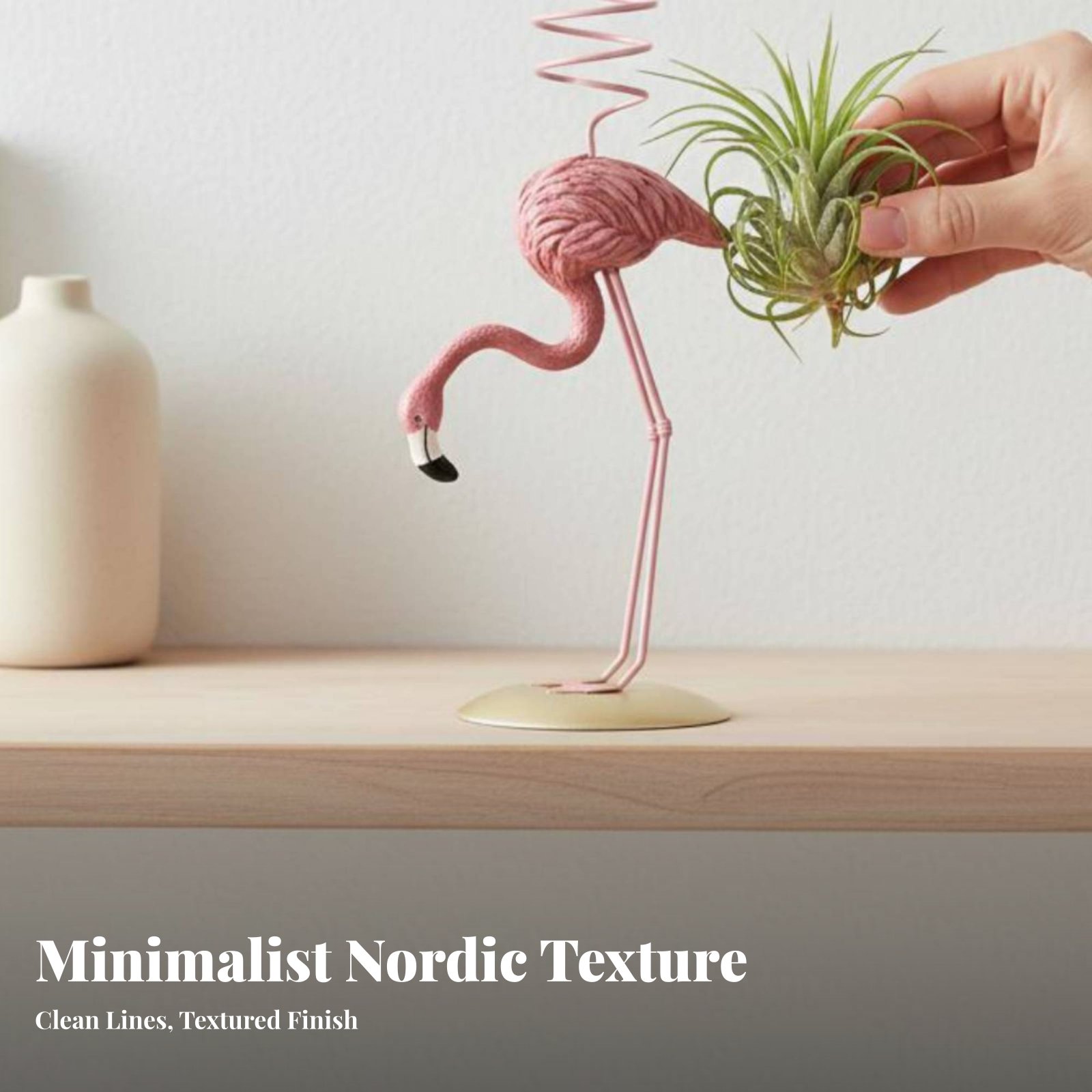 Supporto Geometrico per Tillan - Air Plant Tillandsia recensione e prezzo